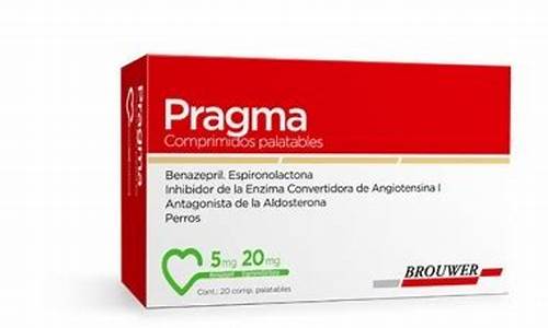 pragmata_PRAGMATA发售时间